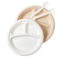 バガスプレート